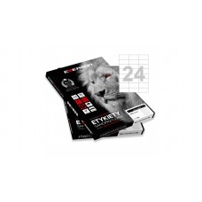 Этикетка самокл. А4/24, Emerson