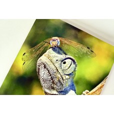 Синтетическая бумага UnoSP DigiLux бел. мат. 0,150x450x320 мм (SRA3) 163,7 г/м2 в пачках по 250 л.